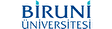 Biruni Üniversitesi