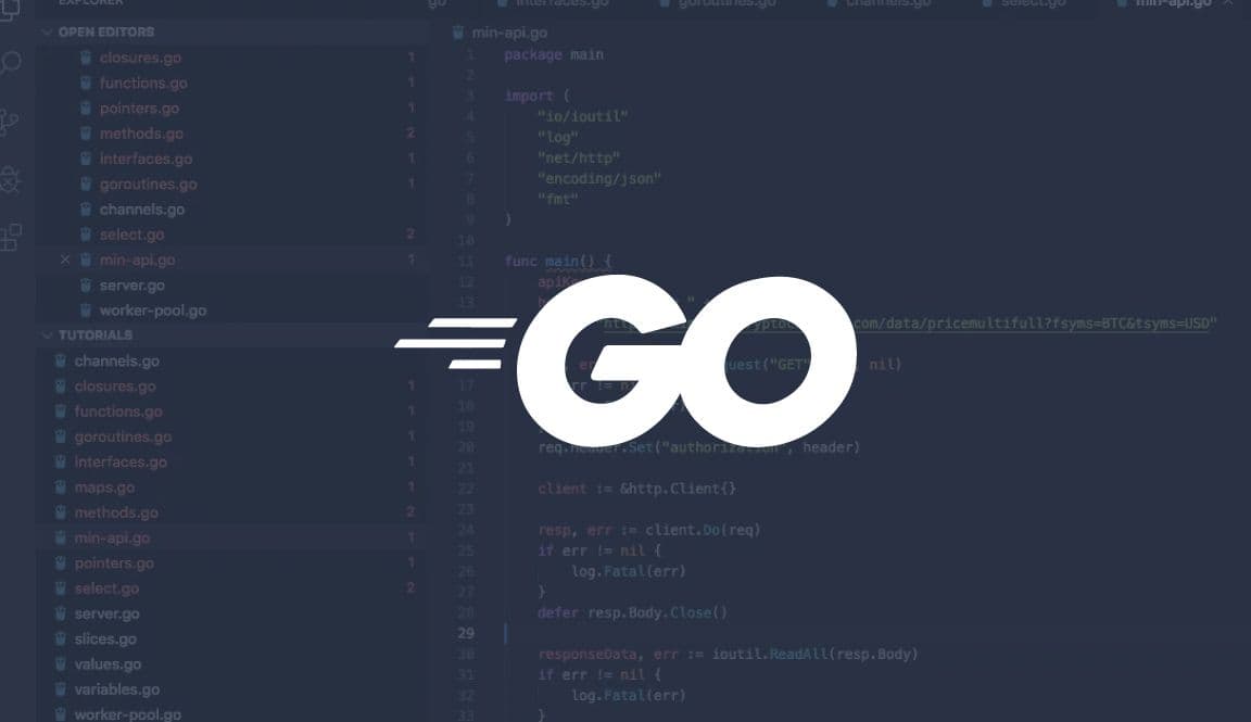 Golang Training Guide: Golang Basic Resources