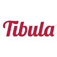 Tibula Bilgi Yönetimi Hizmetleri Danışmanlık A.Ş.