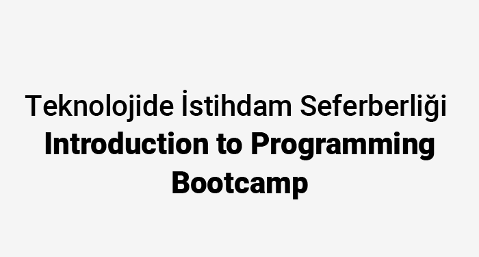 Teknolojide İstihdam Seferberliği-Introduction to Programming Bootcamp