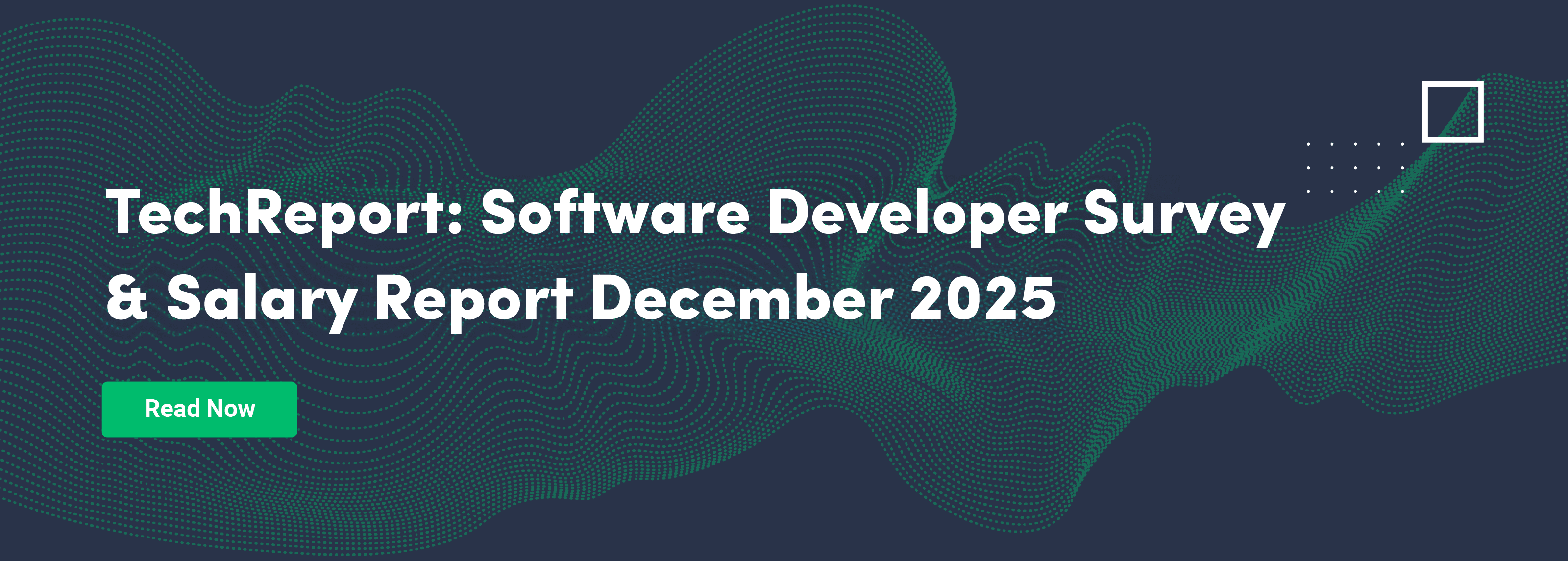 Developer Research, 2025 Developers Salary