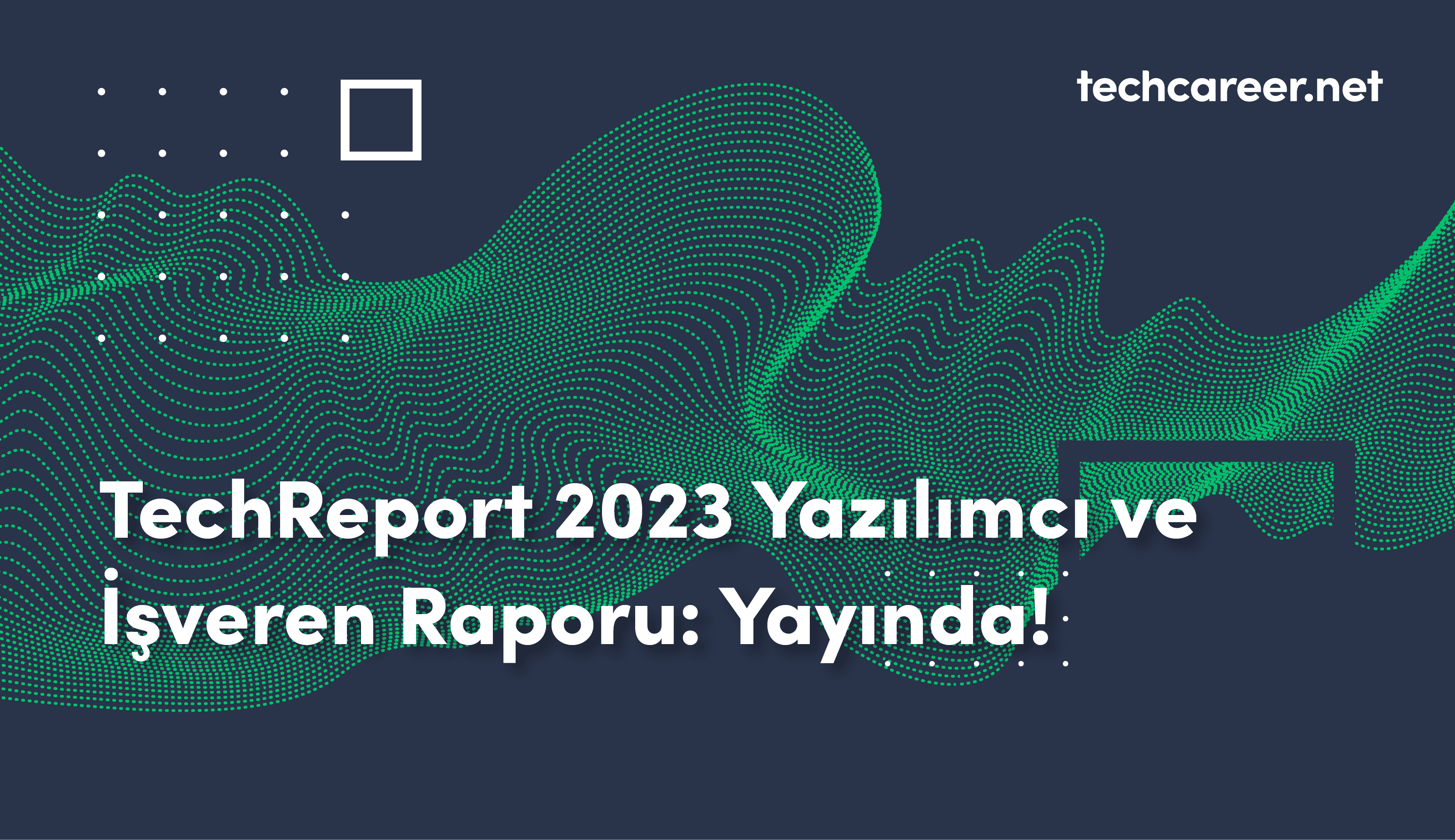 TechReport 2023 Developer and Employer Report