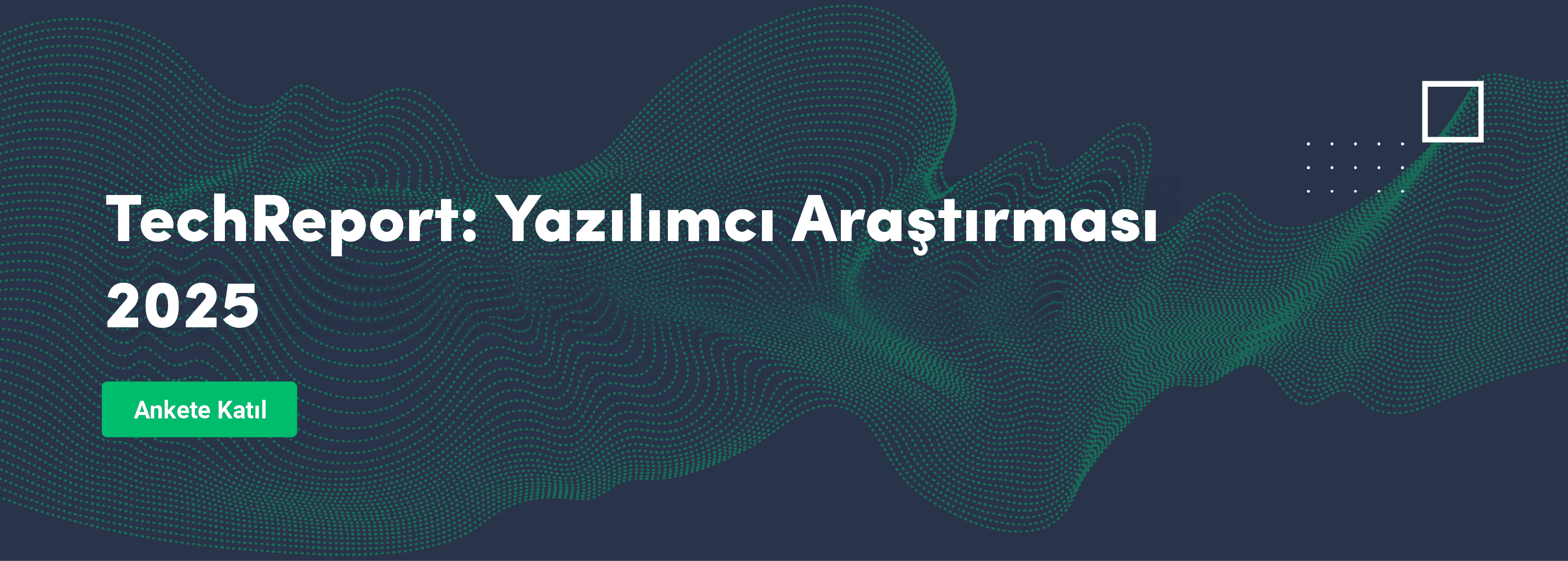 Techreport'25 Yazılımcı Araştırması, Yazılımcı Anketi