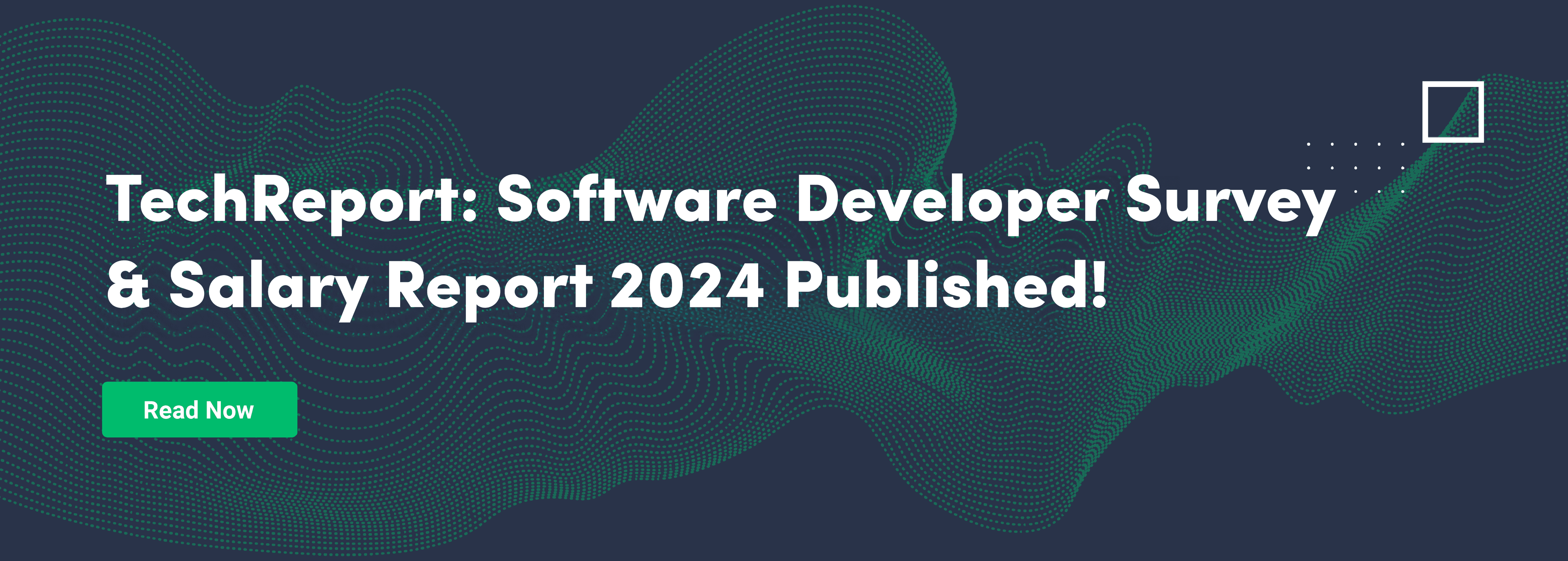 TechReport: 2024 Developer Survey and Salary Research
