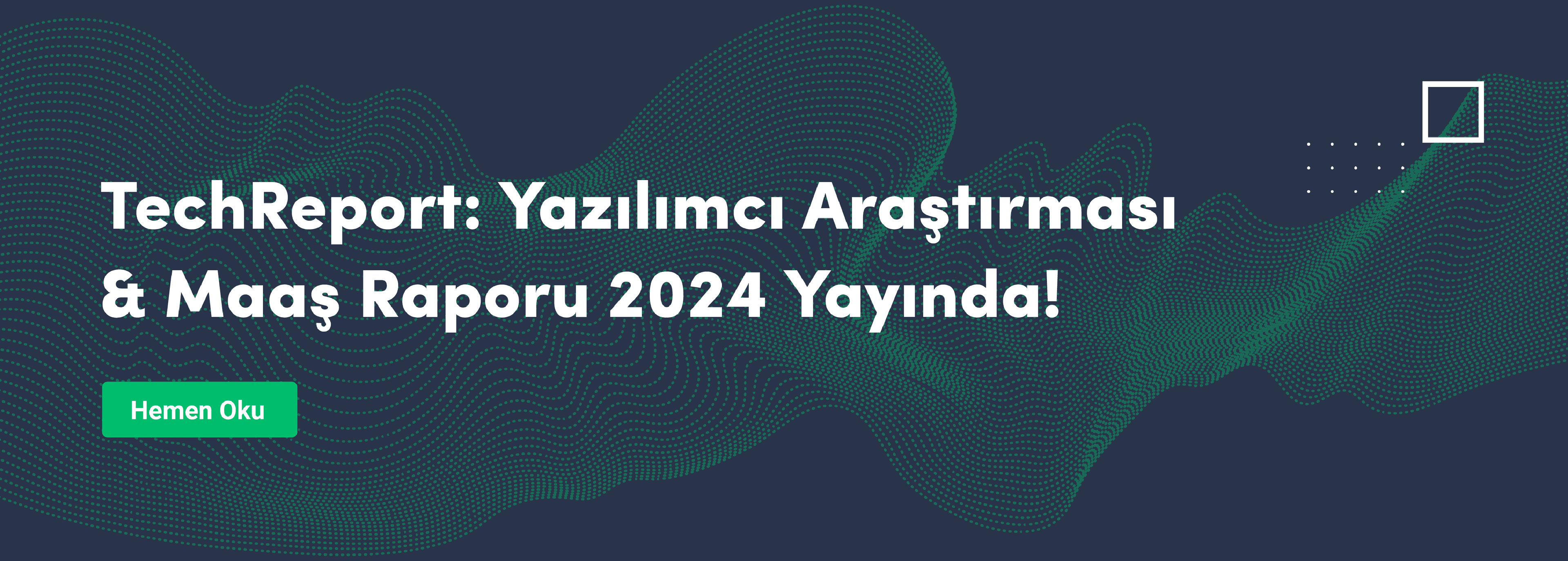 TechReport: 2024 Yazılımcı Anketi ve Maaş Raporu