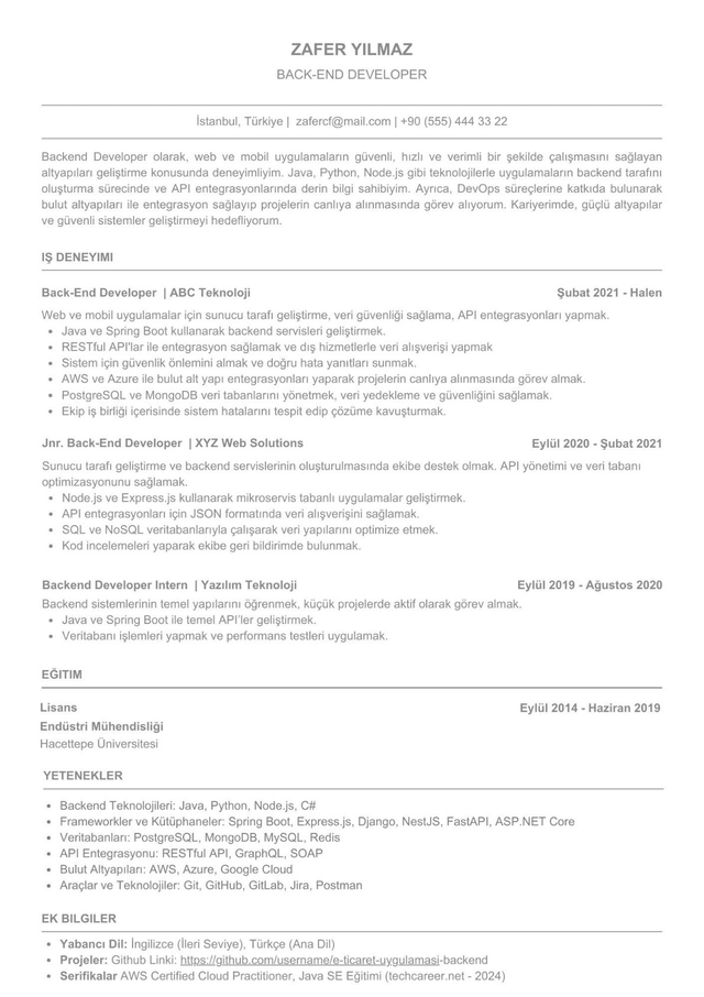 Backend Developer CV