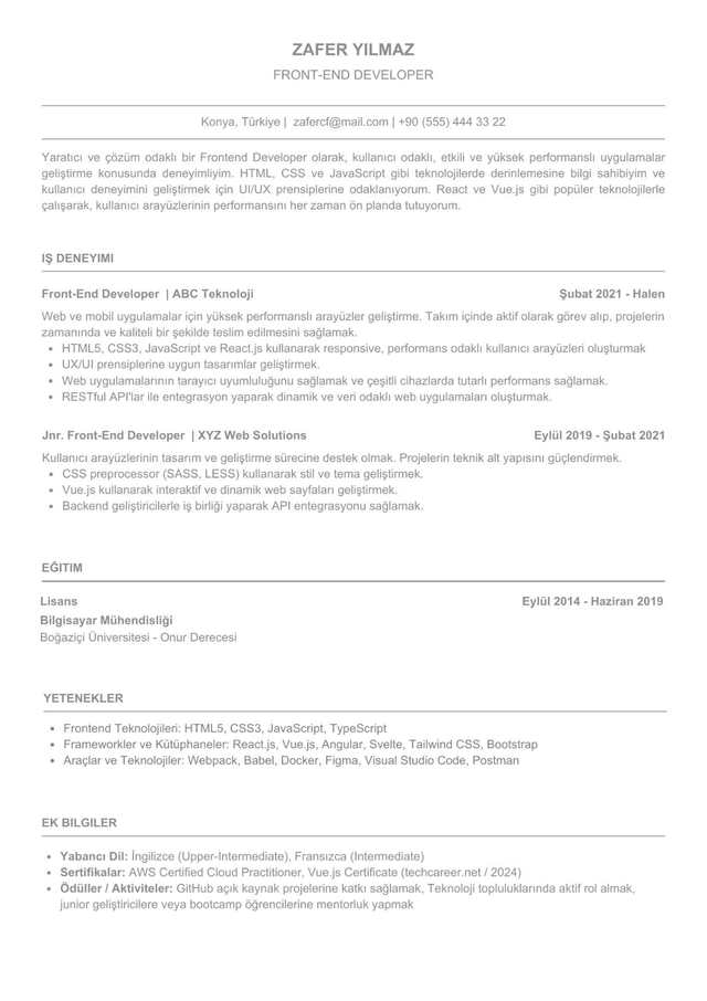 Frontend Developer CV