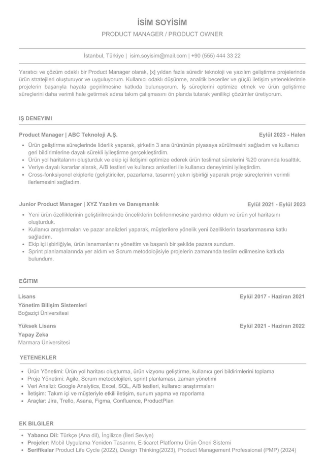Product Manager/Owner CV
